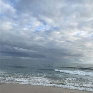 Meet your Posher, Amelia